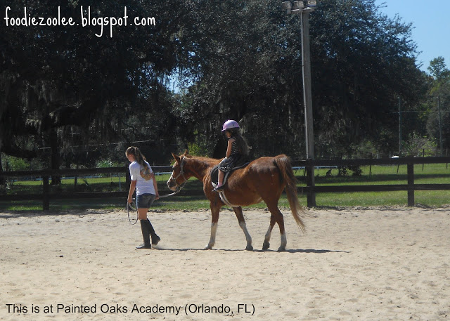 02she got to ride a pony, go on a hay ride, play with children